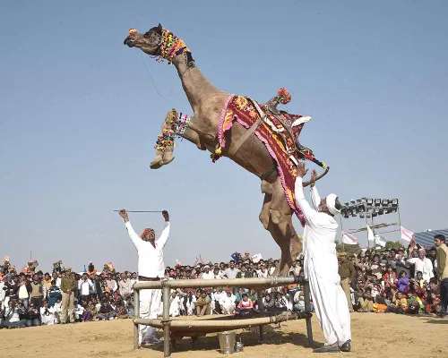 Bikaner Camel Festival Grounds
