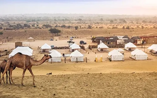 Golden Desert Legacy