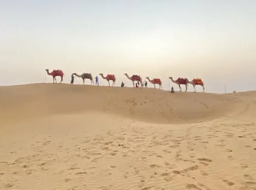 Desert Traditions
